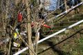 regional lormont cyclocross 042.jpg